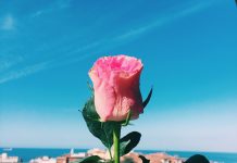 Happy Women’s Day!