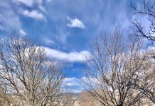 Balcony Running Chronicles