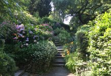 Trieste’s Botanical Garden Reopens for Spring
