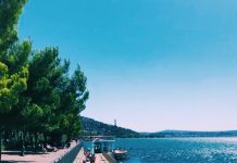 What Will Summer 2020 Look Like?