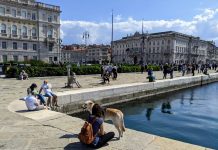 New Academic Year Begins Today as Schools Reopen in Trieste