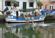 Recruiting Event Seeks to Bolster Tourism Workforce in Friuli Venezia Giulia