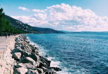 Divers’ Club Introduces New Courses in Freediving, Scuba, and Minisub Operations