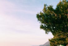 PM Conte: “Back To Life, But With Caution”