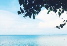 Summer 2020, What Will That Be Like?