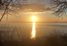 Always Facing West: An Italian Expat in London