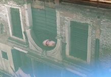 Marine Life Returns to Venice