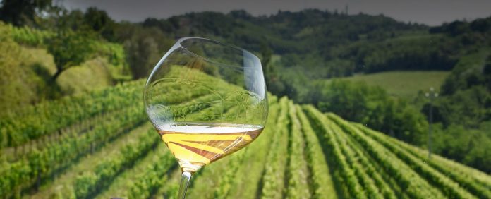 Foto 6 - Ribolla Gialla Collio