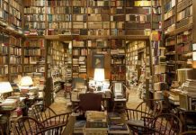 Exploring the “Femme Fatale” Archetype: A New Book Examines Its Cultural Legacy