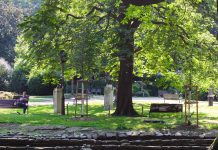 Cinema Under The Stars In Giardino Pubblico