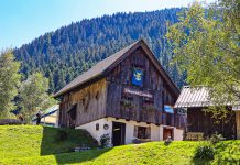 The Staipo da Canobio: Authentic Cuisine in the Scenic Heart of Carnia