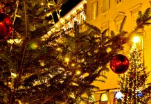 Holiday Greetings from the Mayor of Trieste