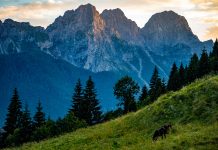 Carnia Shaken by Overnight Earthquake Swarm, 25 Tremors Recorded