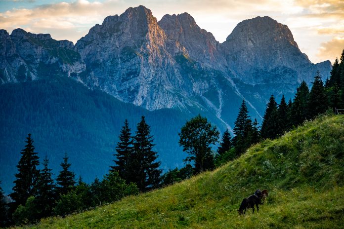 Sunset over the Carnian Forests