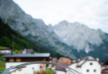 Tasty Treasures of the Forest: Foraging in the Mountains of FVG