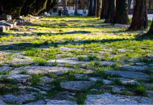 In Lock-Down but Never Locked