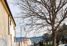 Another Ground-Breaking Find on San Giusto Hill