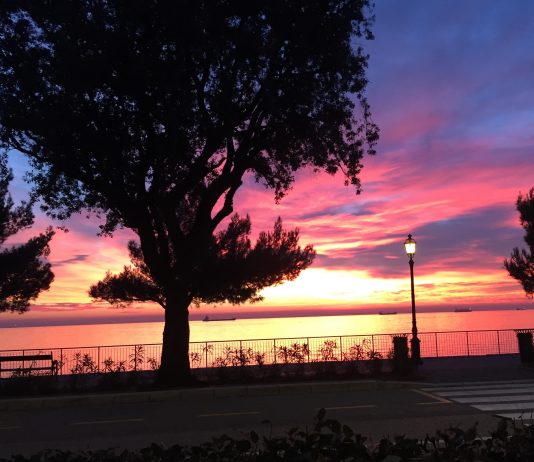 That’s How I See You, Trieste