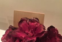 The Magic of Rosa di Gorizia, Radicchio Blessed by Bora Winds