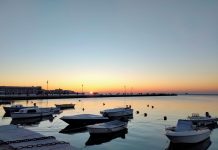 Meeting Myself Through Trieste