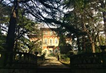 Glorious and Curious Past of Via Rossetti, Part 2