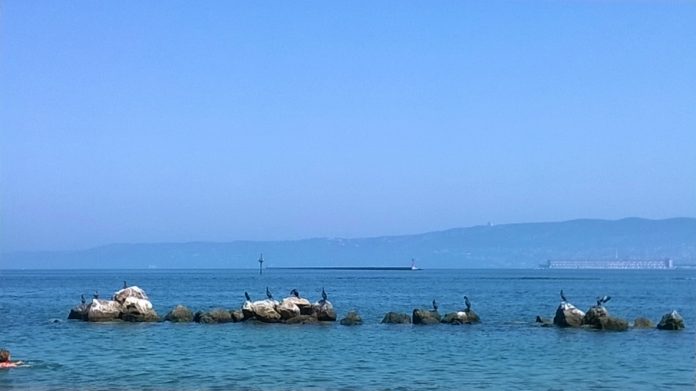 Trieste