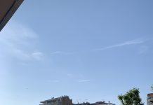 Sunday Cannes Film Festival Recap