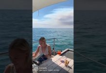 InTrieste Summer Issue is Here!