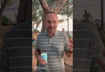 InTrieste Presented Summer Edition in Barcola