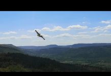 Canadair in San Dorligo Della Valle After Yesterday’s Fire