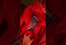 Under Our Christmas Tree? InTrieste Winter Edition!