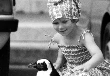 Marco the Penguin Will Be Back at Salone degli Incanti