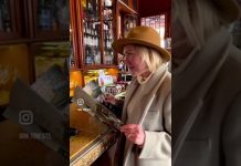 InTrieste Spring Edition Is Here