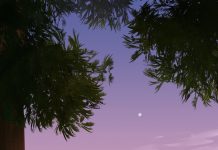 It’s A Scorcher! 10 Tips For Beating The Heatwave In Trieste