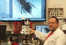 A Closer Look at the Hidden Life of the Karst, Inside Trieste’s Natural History Museum