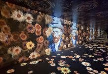 Van Gogh’s Masterpieces Shine in Trieste: A Journey Through the Artist’s Soul