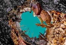 Sunday at ShorTS IFF: Immersive Cinema and Rising Stars