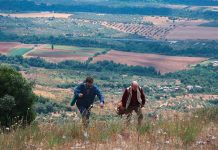 Trieste’s Summer Cinema Under the Stars: A Week of Cinematic Delights