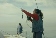 ShorTS Festival to Feature Environmental and Immersive Cinema