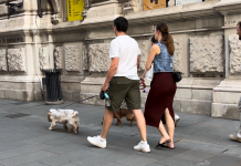 In Trieste, Dogs Take Top Spot as Most Beloved Pet