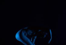 Miela Theater’s 2024-2025 Season: A Bold Fusion of Tradition and Innovation