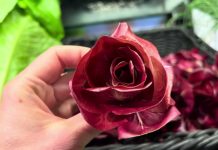 A Blooming Treasure: Rosa di Gorizia, the Radicchio That’s Redefining Fine Dining