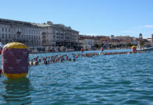 Barcolana Nuota Returns to Trieste with Honda as New Title Sponsor