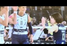 Volleyball Super Cup Puts Trieste in the Sporting Spotlight