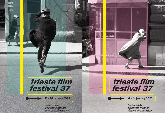 Trieste film festival