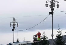 Trieste Begins Holiday Season as Christmas Trees Rise in Piazza Unità