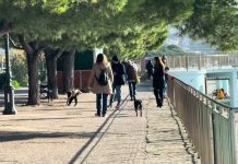 Winter Pauses on a Springlike Saturday in Friuli Venezia Giulia